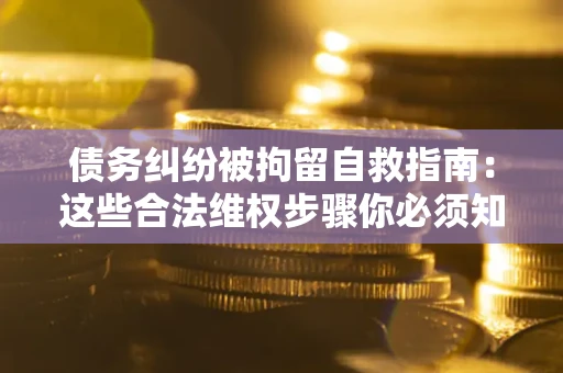 济南债务纠纷被拘留自救指南：这些合法维权步骤你必须知道！