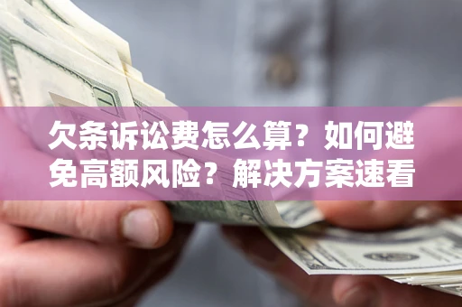 济南欠条诉讼费怎么算？如何避免高额风险？解决方案速看！