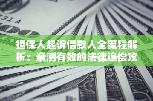 济南担保人起诉借款人全流程解析：亲测有效的法律追偿攻略