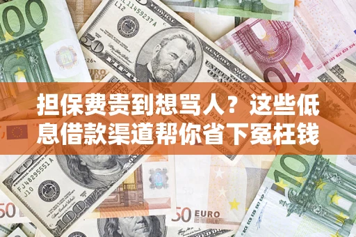 济南担保费贵到想骂人？这些低息借款渠道帮你省下冤枉钱