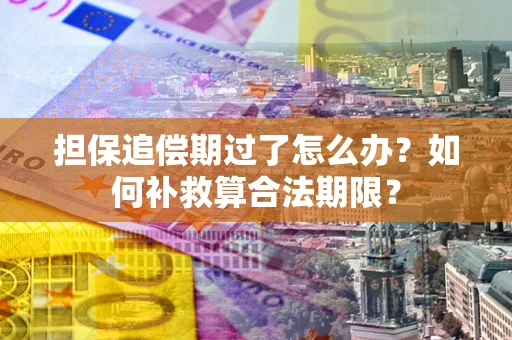 济南担保追偿期过了怎么办？如何补救算合法期限？