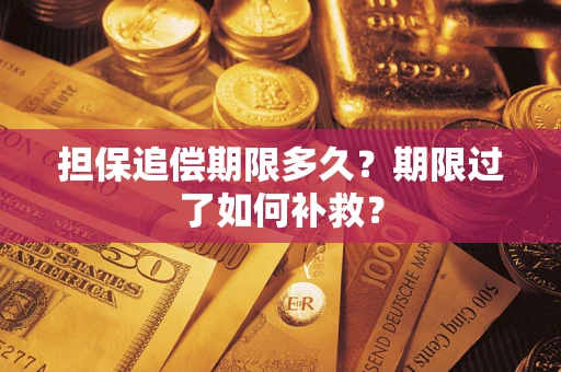 济南担保追偿期限多久？期限过了如何补救？