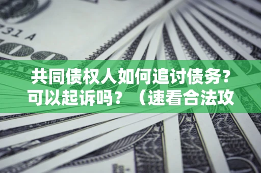 济南共同债权人如何追讨债务？可以起诉吗？（速看合法攻略）