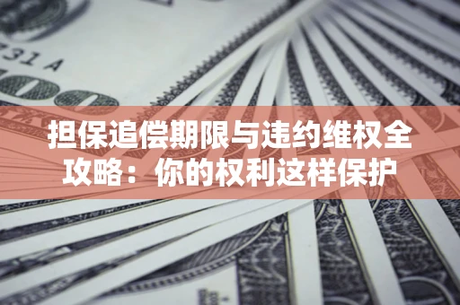 济南担保追偿期限与违约维权全攻略：你的权利这样保护